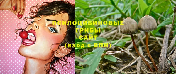 сатива Семикаракорск